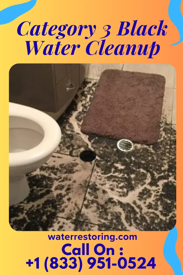 Category 3 Black Water Cleanup in Oakdale, PA