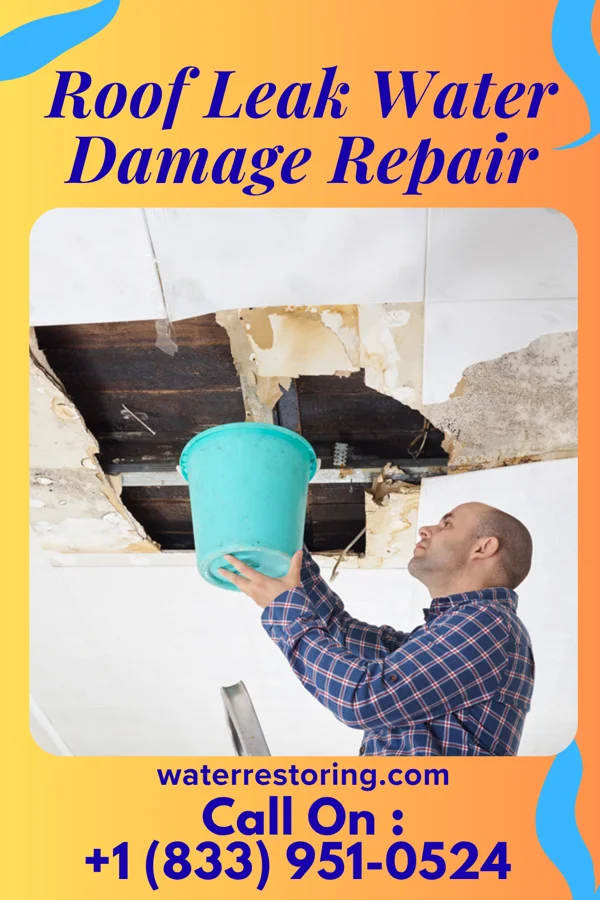 Roof Leak Water Damage Repair in Oakdale, PA