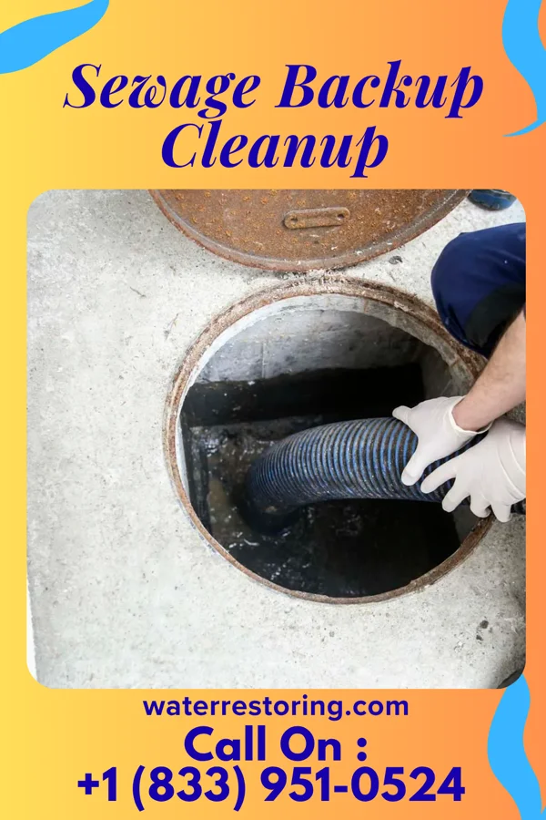 Sewage Backup Cleanup in Oakdale, PA