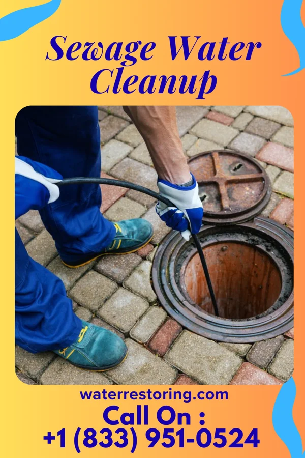 Sewage Water Cleanup in Oakdale, PA