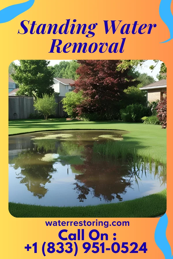 Standing Water Removal in Oakdale, PA